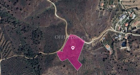 Share Live stock field in Kalo Chorio Oreinis Nicosia - 3