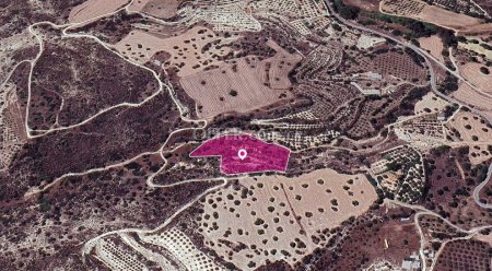 Special Protection zoned field in Kalavasos Larnaca. - 3