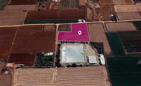 Special Protection Field in Xylofagou Larnaca