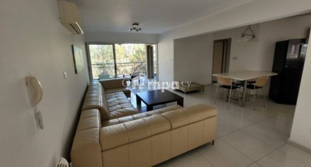 Apartment in Pallouriotissa for Rent - 9