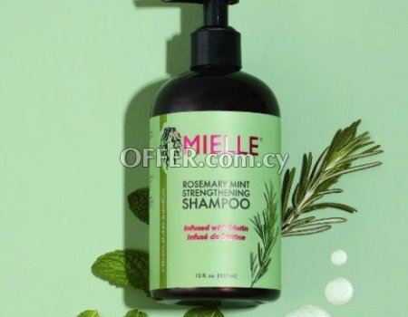 Mielle rosemary mint hair shampoo
