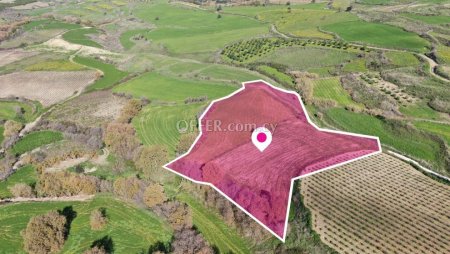 Agricultural Field Stroumbi Paphos