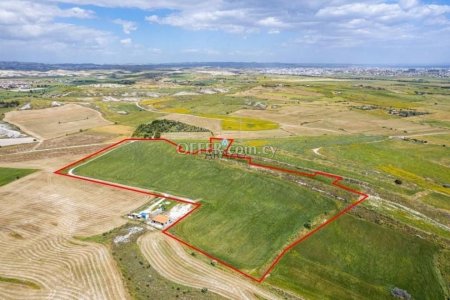 Field for Sale in Kalo Chorio, Larnaca - 5