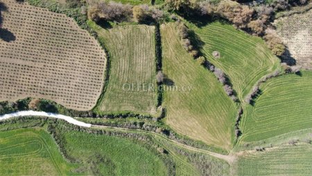 Agricultural Field Stroumbi Paphos - 3