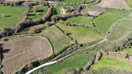 Agricultural Field Stroumbi Paphos - 2