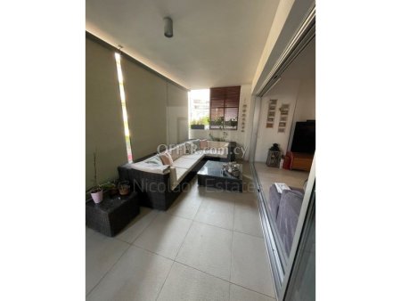Three Bedroom Luxury apartment in Acropoli near KPMG - 9