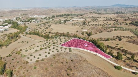 Agricultural Field in Analiontas Nicosia