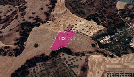 Agricultural Field in Lythrodontas Nicosia
