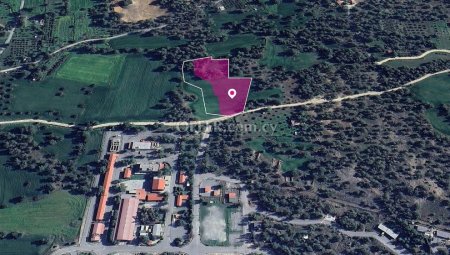 Share Agricultural Field in Mathiatis Nicosia