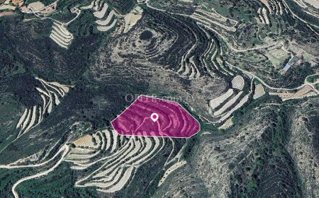 Agricultural Field in Koili Paphos