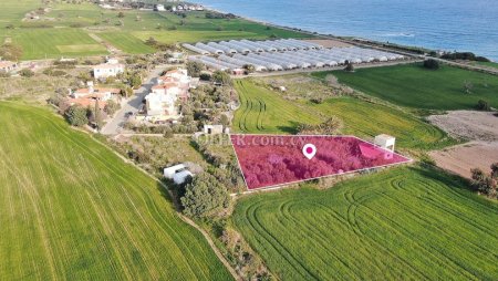 Field in Maroni Larnaca