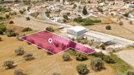 Residential Field in Alethriko Larnaca - 5
