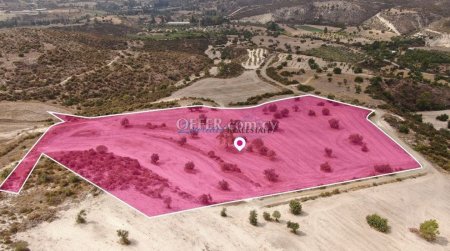 Field For Sale in Chirokitia, Larnaca - 3