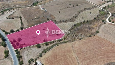Agricultural Land For Sale in Anarita, Paphos - DP3677 - 3