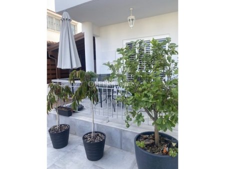 Four Bedroom Semi Detached House for Rent in Archangelos Strovolos - 8
