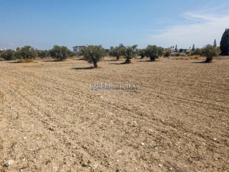 Three Fields in Aradippou, Larnaca - 5