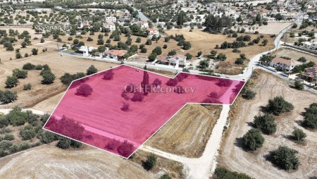 Field for Sale in Anglisides, Larnaca - 3