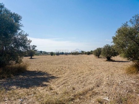 Three Fields in Aradippou, Larnaca - 4