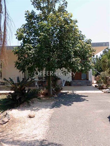 4 Bedroom House  In Ormidia, Larnaka - 4