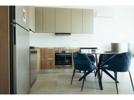 New Luxurious fully furnished one bedroom apartment for rent in Zakaki area - 4