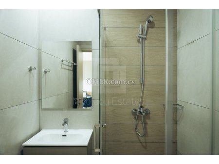New Luxurious fully furnished one bedroom apartment for rent in Zakaki area - 3