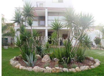 In Excellent Condition 3 Bedroom Detached House In Agrokipia, Nicosia - 3