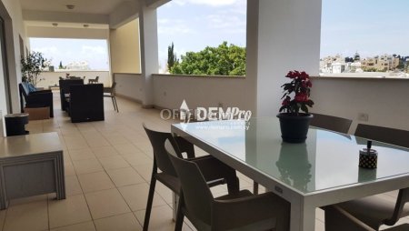 Office  For Rent in Paphos City Center, Paphos - DP1333 - 2