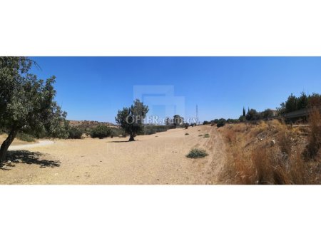 Land for sale in Kalavasos 9303 sq.m. - 2