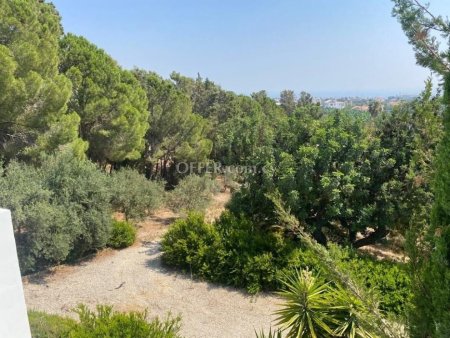 Large Villa with sea and mountain views in Peyia - 6