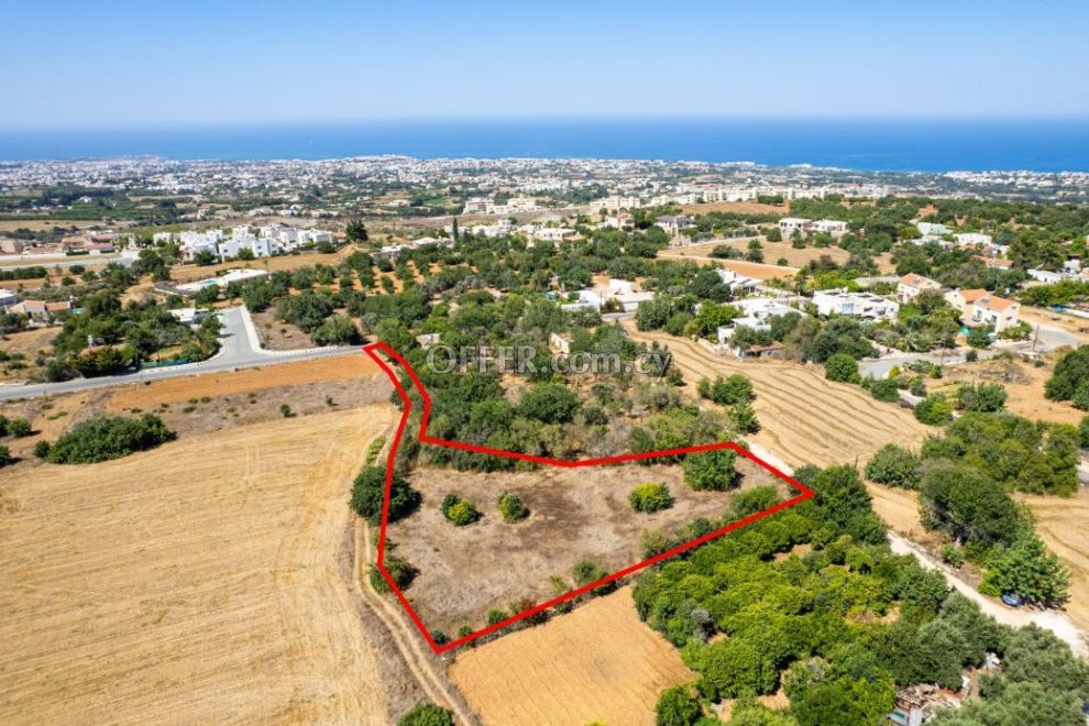 Residential field in Tremithousa Paphos - 3
