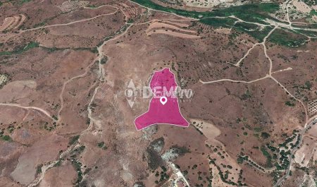 Agricultural Land For Sale in Episkopi, Paphos - DP3322