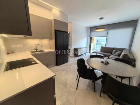BRAND NEW ONE BEDROOM MODERN APARTMENT FOR RENT - 1