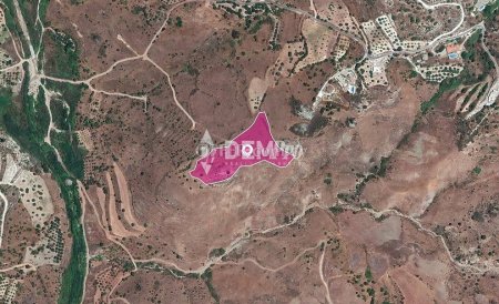 Agricultural Land For Sale in Episkopi, Paphos - DP3322 - 3