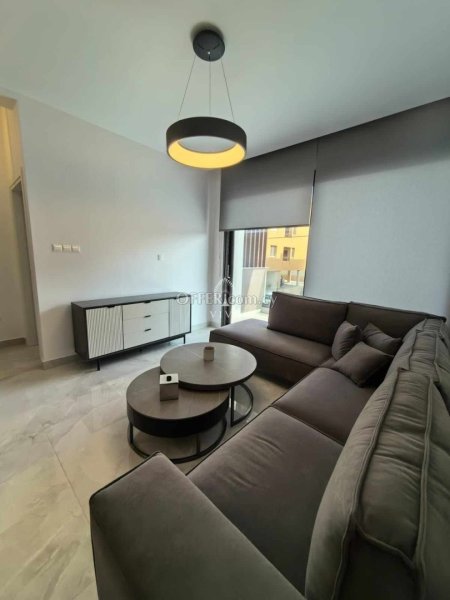 BRAND NEW ONE BEDROOM MODERN APARTMENT FOR RENT - 5