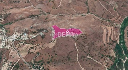 Agricultural Land For Sale in Episkopi, Paphos - DP3322 - 2