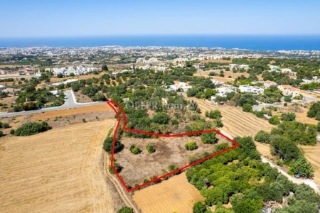 Residential field in Tremithousa Paphos - 3