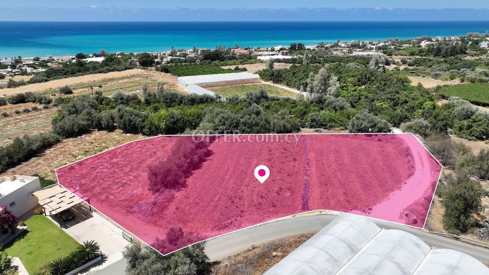 Residential field in Agia Marina Chrysochous Paphos - 3