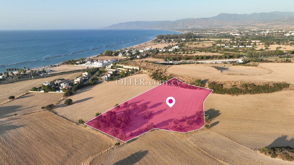 Touristic Field Poli Chrysochous Paphos - 3