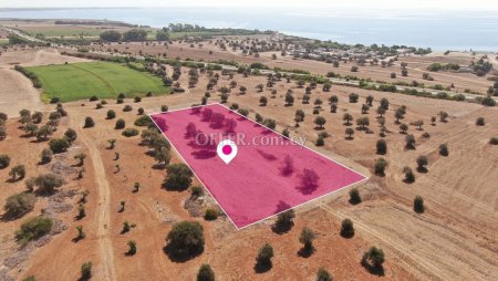 75 Share of a Touristic Field in Mazotos Larnaca - 1
