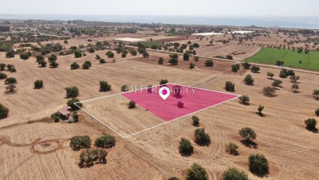 Share Touristic Field in Mazotos Larnaca