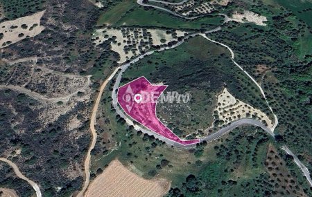 Agricultural Land For Sale in Lysos, Paphos - DP3700 - 1