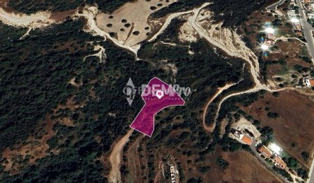 Agricultural Land For Sale in Neo Chorio, Paphos - DP3685 - 1