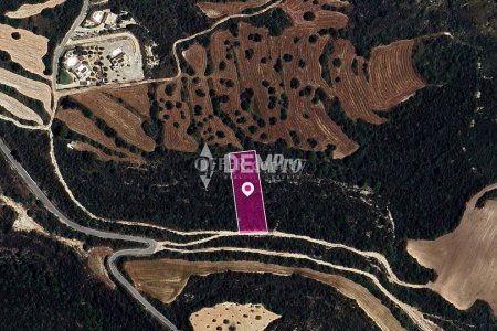 Agricultural Land For Sale in Kritou Tera, Paphos - DP3672