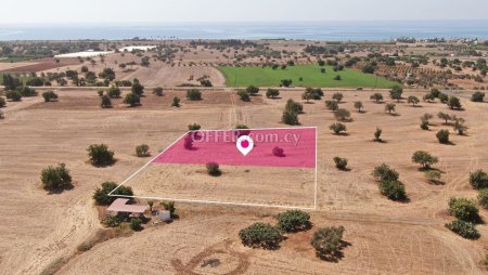 Share Residential Field in Mazotos Larnaca - 4