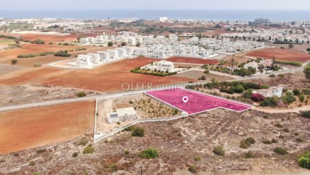 Share Field in Paralimni Ammochostos - 6