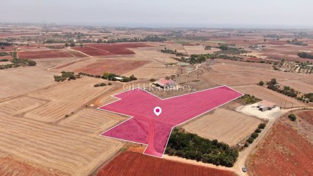 Agricultural Field in Xylofagou Larnaca - 4