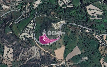 Agricultural Land For Sale in Lysos, Paphos - DP3700 - 3