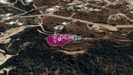 Agricultural Land For Sale in Neo Chorio, Paphos - DP3684 - 3