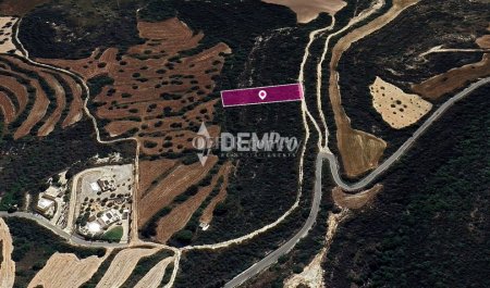 Agricultural Land For Sale in Kritou Tera, Paphos - DP3672 - 3