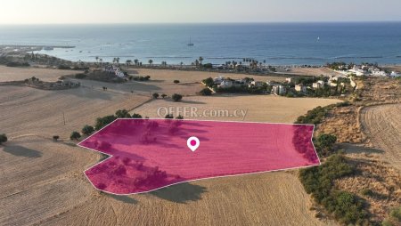 Touristic Field Poli Chrysochous Paphos - 4